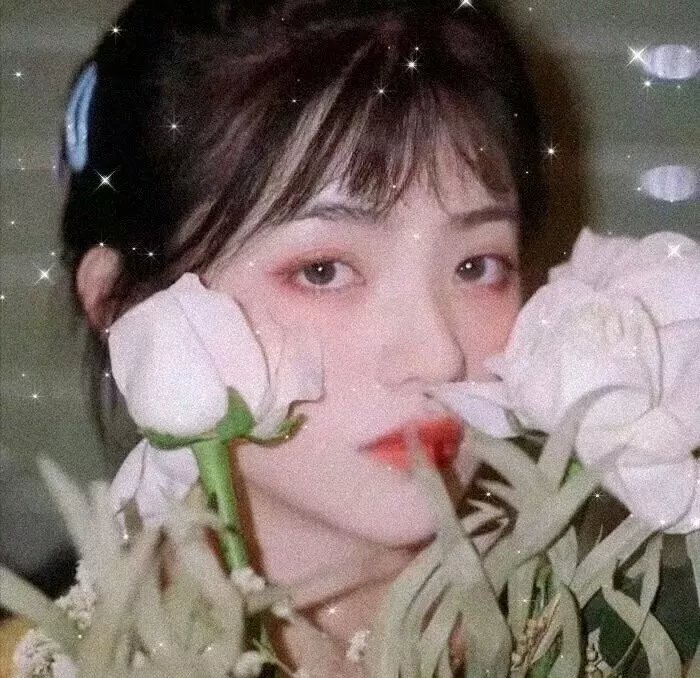 月亮的后裔